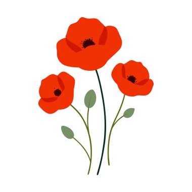 Beyaz arka planda canlı kırmızı gelincik çiçek vektör çizimi. Bu zarif ve detaylı tasarım çiçek temalı sanat, baskılar, kartlar veya dekorasyon projeleri için mükemmeldir..