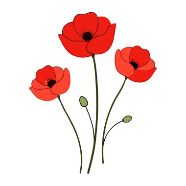 Beyaz arka planda canlı kırmızı gelincik çiçek vektör çizimi. Bu zarif ve detaylı tasarım çiçek temalı sanat, baskılar, kartlar veya dekorasyon projeleri için mükemmeldir..