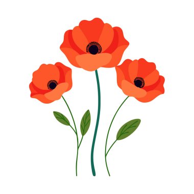 Beyaz arka planda canlı kırmızı gelincik çiçek vektör çizimi. Bu zarif ve detaylı tasarım çiçek temalı sanat, baskılar, kartlar veya dekorasyon projeleri için mükemmeldir..