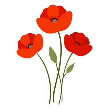 A vibrant red poppy flowers vector illustration on a white background. This elegant and detailed design is perfect for floral-themed art, prints, cards, or decoration projects.