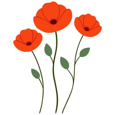 Beyaz arka planda canlı kırmızı gelincik çiçek vektör çizimi. Bu zarif ve detaylı tasarım çiçek temalı sanat, baskılar, kartlar veya dekorasyon projeleri için mükemmeldir..