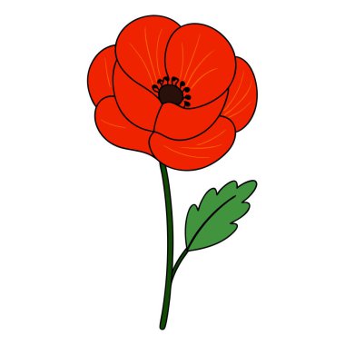 Beyaz arka planda canlı kırmızı gelincik çiçek vektör çizimi. Bu zarif ve detaylı tasarım çiçek temalı sanat, baskılar, kartlar veya dekorasyon projeleri için mükemmeldir..