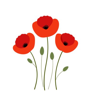 Beyaz arka planda canlı kırmızı gelincik çiçek vektör çizimi. Bu zarif ve detaylı tasarım çiçek temalı sanat, baskılar, kartlar veya dekorasyon projeleri için mükemmeldir..