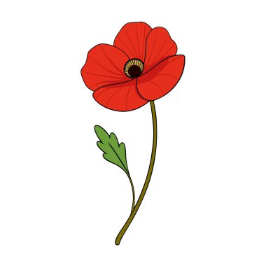 Beyaz arka planda canlı kırmızı gelincik çiçek vektör çizimi. Bu zarif ve detaylı tasarım çiçek temalı sanat, baskılar, kartlar veya dekorasyon projeleri için mükemmeldir..