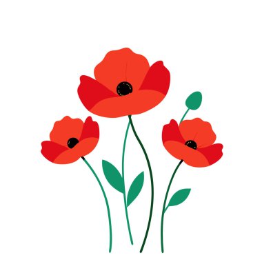 Beyaz arka planda canlı kırmızı gelincik çiçek vektör çizimi. Bu zarif ve detaylı tasarım çiçek temalı sanat, baskılar, kartlar veya dekorasyon projeleri için mükemmeldir..