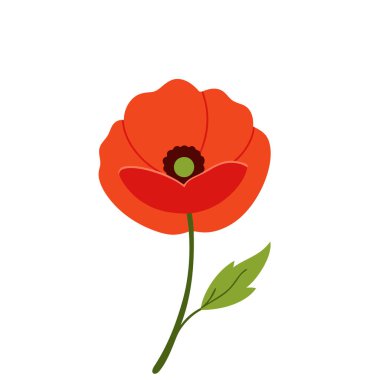 Beyaz arka planda canlı kırmızı gelincik çiçek vektör çizimi. Bu zarif ve detaylı tasarım çiçek temalı sanat, baskılar, kartlar veya dekorasyon projeleri için mükemmeldir..