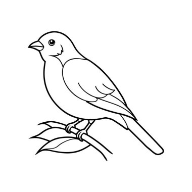 Daha beyaz bir arka planda bir dala tünemiş kuşların hassas bir temsili. Doğa temalı tasarımlar, dekoratif unsurlar ya da minimalist sanat projeleri için mükemmel..