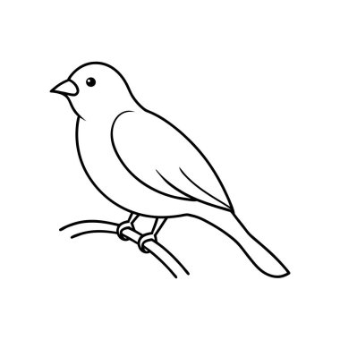 Daha beyaz bir arka planda bir dala tünemiş kuşların hassas bir temsili. Doğa temalı tasarımlar, dekoratif unsurlar ya da minimalist sanat projeleri için mükemmel..