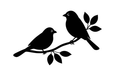 Daha beyaz bir arka planda bir dala tünemiş kuşların hassas bir temsili. Doğa temalı tasarımlar, dekoratif unsurlar ya da minimalist sanat projeleri için mükemmel..