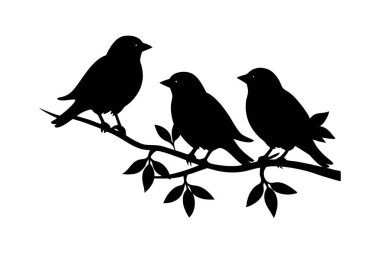 Daha beyaz bir arka planda bir dala tünemiş kuşların hassas bir temsili. Doğa temalı tasarımlar, dekoratif unsurlar ya da minimalist sanat projeleri için mükemmel..