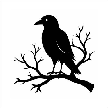Bir ağaç dalına tünemiş kuzgun kuş siluetinin çarpıcı bir vektör çizimi. Ürkütücü tasarımlar, Cadılar Bayramı projeleri veya gotik bir bükülme içeren doğa temalı sanat eserleri için mükemmel..