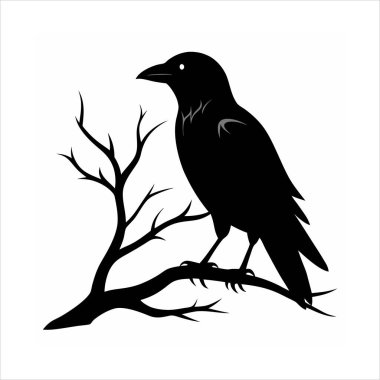 Bir ağaç dalına tünemiş kuzgun kuş siluetinin çarpıcı bir vektör çizimi. Ürkütücü tasarımlar, Cadılar Bayramı projeleri veya gotik bir bükülme içeren doğa temalı sanat eserleri için mükemmel..