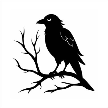 Bir ağaç dalına tünemiş kuzgun kuş siluetinin çarpıcı bir vektör çizimi. Ürkütücü tasarımlar, Cadılar Bayramı projeleri veya gotik bir bükülme içeren doğa temalı sanat eserleri için mükemmel..