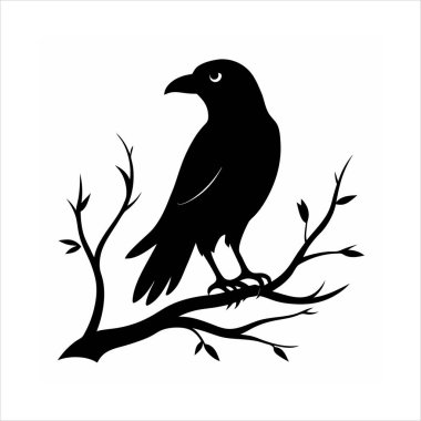 Bir ağaç dalına tünemiş kuzgun kuş siluetinin çarpıcı bir vektör çizimi. Ürkütücü tasarımlar, Cadılar Bayramı projeleri veya gotik bir bükülme içeren doğa temalı sanat eserleri için mükemmel..