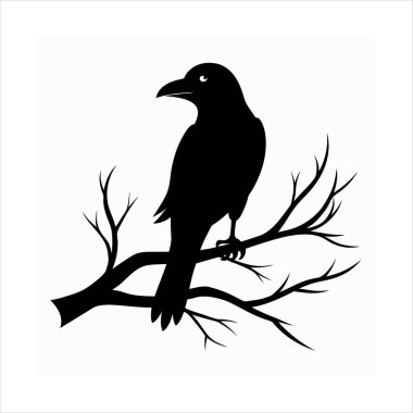 Bir ağaç dalına tünemiş kuzgun kuş siluetinin çarpıcı bir vektör çizimi. Ürkütücü tasarımlar, Cadılar Bayramı projeleri veya gotik bir bükülme içeren doğa temalı sanat eserleri için mükemmel..
