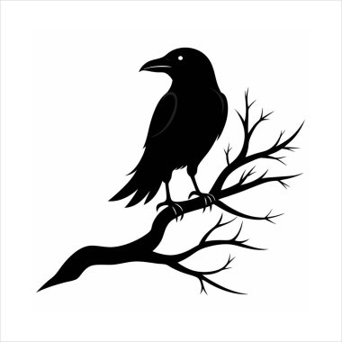 Bir ağaç dalına tünemiş kuzgun kuş siluetinin çarpıcı bir vektör çizimi. Ürkütücü tasarımlar, Cadılar Bayramı projeleri veya gotik bir bükülme içeren doğa temalı sanat eserleri için mükemmel..