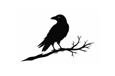 Bir ağaç dalına tünemiş kuzgun kuş siluetinin çarpıcı bir vektör çizimi. Ürkütücü tasarımlar, Cadılar Bayramı projeleri veya gotik bir bükülme içeren doğa temalı sanat eserleri için mükemmel..