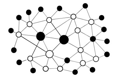 Bu soyut ağ tasarımı canlı ve geometrik desenlere bağlı renkli noktalar içerir, modern dijital projeler, teknik tasarımlar veya yaratıcı arka planlar için mükemmeldir..