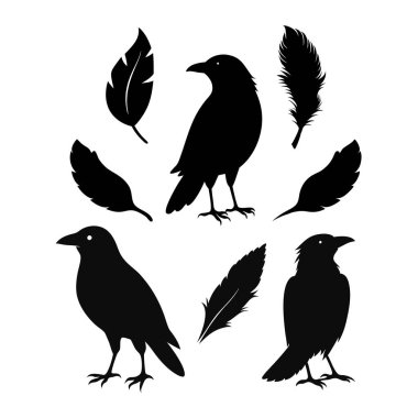 This vector set features elegant silhouettes of crows, ravens, birds, and feathers. Perfect for nature, wildlife, and gothic-themed designs, with minimalist and mysterious charm. clipart