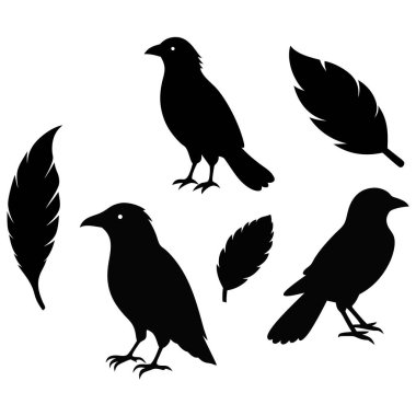 This vector set features elegant silhouettes of crows, ravens, birds, and feathers. Perfect for nature, wildlife, and gothic-themed designs, with minimalist and mysterious charm. clipart