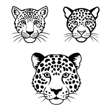 This hand-drawn vintage animal skin pattern set features tiger, leopard, and jaguar prints, adding an exotic and bold touch to designs inspired by the wild. clipart