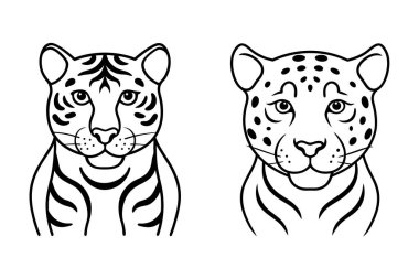 Bu el yapımı klasik hayvan derisi seti kaplan, leopar ve jaguar izlerine sahiptir..