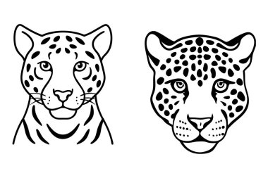 Bu el yapımı klasik hayvan derisi seti kaplan, leopar ve jaguar izlerine sahiptir..