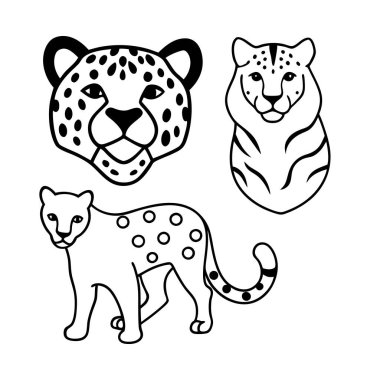 This hand-drawn vintage animal skin pattern set features tiger, leopard, and jaguar prints, adding an exotic and bold touch to designs inspired by the wild. clipart