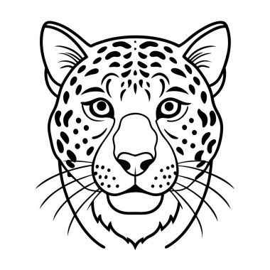 Bu el yapımı klasik hayvan derisi seti kaplan, leopar ve jaguar izlerine sahiptir..