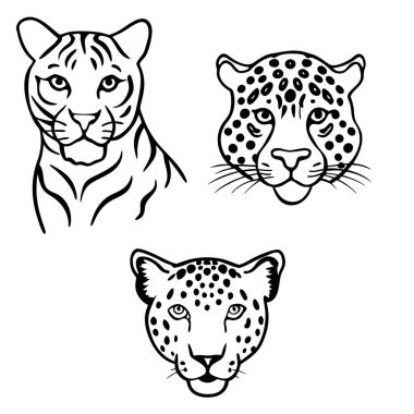 Bu el yapımı klasik hayvan derisi seti kaplan, leopar ve jaguar izlerine sahiptir..