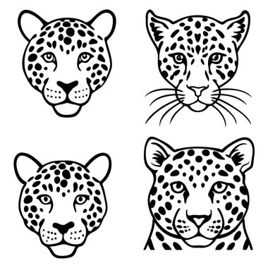 Bu el yapımı klasik hayvan derisi seti kaplan, leopar ve jaguar izlerine sahiptir..