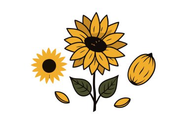 Klasik botanik tarzındaki bu yirmi ayçiçeği çizimi çiçek temalı tasarımlar için mükemmeldir. Projelerinize kırsal ve doğal bir cazibe katar..