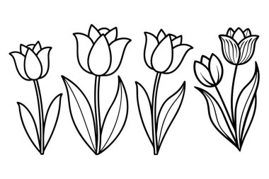 Bu zarif vektör seti, bu ikonik çiçeklerin narin güzelliğini yakalayan lale siluetlerini içerir. Bahar dekorasyonu, botanik tasarımları ve çiçek temalı projeler için mükemmel..