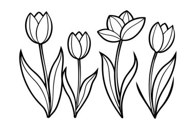 Bu zarif vektör seti, bu ikonik çiçeklerin narin güzelliğini yakalayan lale siluetlerini içerir. Bahar dekorasyonu, botanik tasarımları ve çiçek temalı projeler için mükemmel..