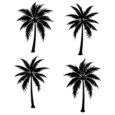 Tropikal temalı tasarımlar, doğa projeleri ve yaz çizimleri için mükemmel bir palmiye ağacı silueti. Herhangi bir yaratıcı işe egzotik bir dokunuş eklemek için ideal..