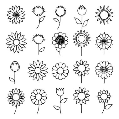 Projelerinize bu çizgili ayçiçeği vektör kümesi ile zarafet ekleyin. Çiçek tasarımları, desenler, dekor ve dijital sanat eserleri için mükemmel. Minimalizmi doğal güzellikle harmanlamak..