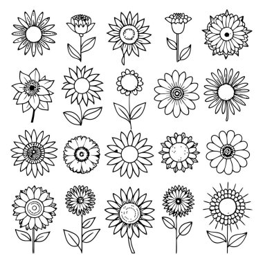 Projelerinize bu çizgili ayçiçeği vektör kümesi ile zarafet ekleyin. Çiçek tasarımları, desenler, dekor ve dijital sanat eserleri için mükemmel. Minimalizmi doğal güzellikle harmanlamak..