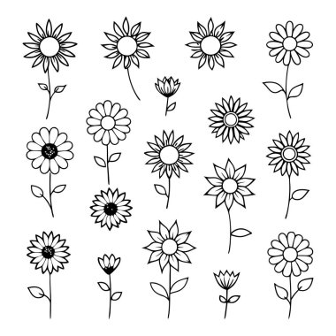 Projelerinize bu çizgili ayçiçeği vektör kümesi ile zarafet ekleyin. Çiçek tasarımları, desenler, dekor ve dijital sanat eserleri için mükemmel. Minimalizmi doğal güzellikle harmanlamak..