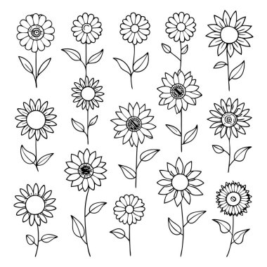 Projelerinize bu çizgili ayçiçeği vektör kümesi ile zarafet ekleyin. Çiçek tasarımları, desenler, dekor ve dijital sanat eserleri için mükemmel. Minimalizmi doğal güzellikle harmanlamak..