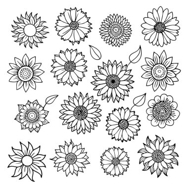 Projelerinize bu çizgili ayçiçeği vektör kümesi ile zarafet ekleyin. Çiçek tasarımları, desenler, dekor ve dijital sanat eserleri için mükemmel. Minimalizmi doğal güzellikle harmanlamak..