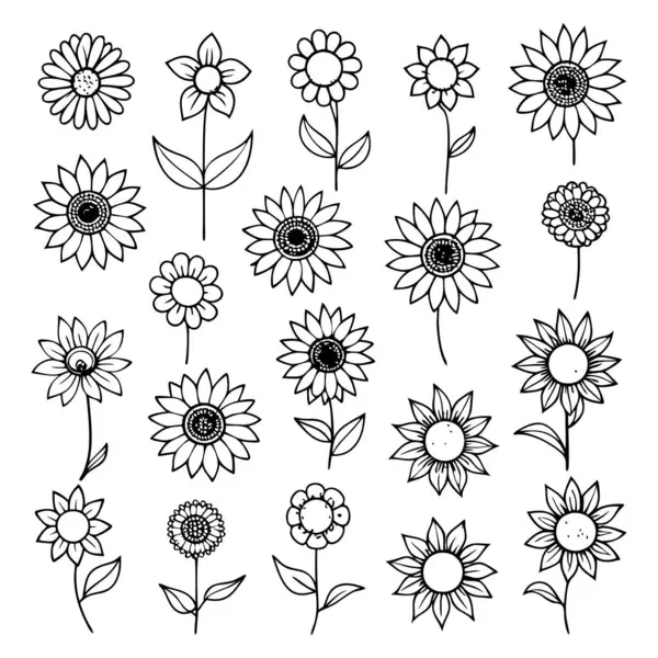 Projelerinize bu çizgili ayçiçeği vektör kümesi ile zarafet ekleyin. Çiçek tasarımları, desenler, dekor ve dijital sanat eserleri için mükemmel. Minimalizmi doğal güzellikle harmanlamak..