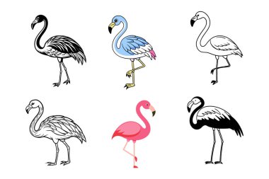 Bu flamingo vektör kümesiyle tasarımlarınıza zarafet ekleyin. Yaratıklarınıza canlı ve egzotik bir dokunuş getiren, tropikal temalı projeler, dekor, desenler ve dijital sanat eserleri için mükemmel..