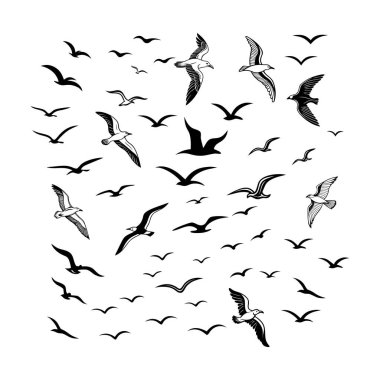 Tasarım projeleri için mükemmel zarif siluetler içeren çok yönlü bir uçan kuş vektörü seti. Logolar, parmak izleri, kalıplar ve daha fazlası için ideal. Tamamen düzenlenebilir ve yaratıcılığını geliştirmeye hazır..