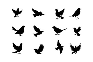 Çok yönlü bir kuş silueti. Yaratıcı projeler, dekorlar ve tasarımlar için mükemmel. Doğa, vahşi yaşam ve kuş temalı dijital sanat eserleri için ideal..