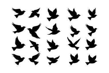 Çok yönlü bir kuş silueti. Yaratıcı projeler, dekorlar ve tasarımlar için mükemmel. Doğa, vahşi yaşam ve kuş temalı dijital sanat eserleri için ideal..