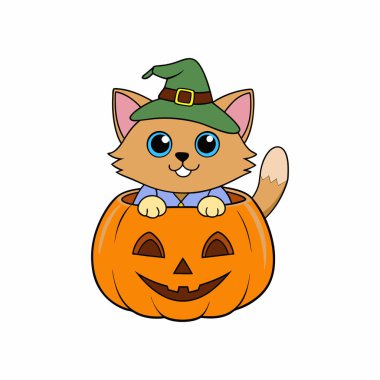 Şapka takan sevimli çizgi film kedisi oyulmuş bir balkabağının içinde flüt çalıyor. Cadılar Bayramı, sonbahar kutlamaları, şenlik dekorları ve yaratıcı tasarım projeleri için mükemmel..