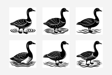 Yumuşak su dalgalarıyla süzülen bir kazın temiz ve zarif bir çizimi. Dijital tasarımlar, markalaşma, dekor ve yaratıcı projeler için mükemmel..