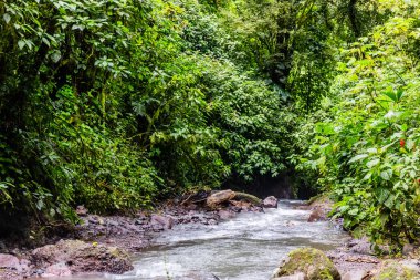 Yağmur Yağdırıcı Koruma Parkı Şelaleleri