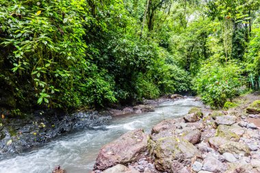 Yağmur Yağdırıcı Koruma Parkı Şelaleleri