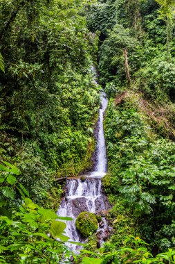 Yağmur Yağdırıcı Koruma Parkı Şelaleleri